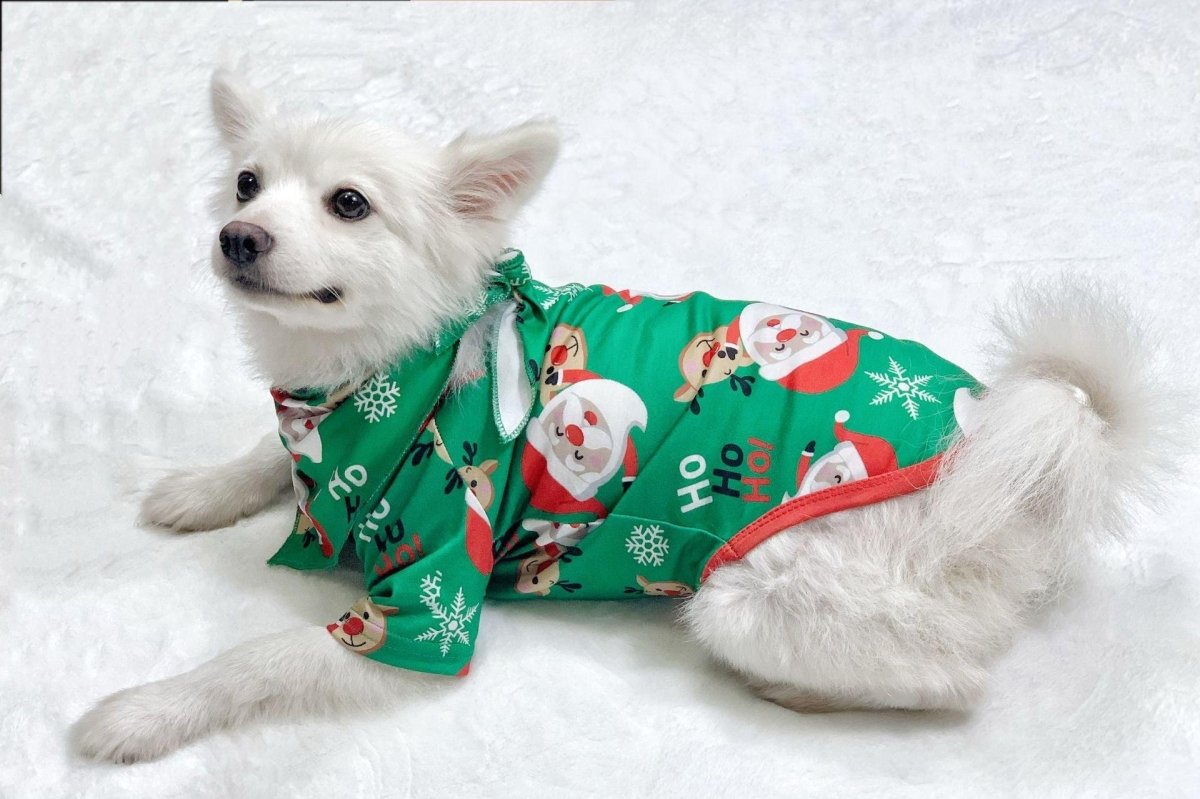 Santa Claus Printed Family Christmas Pajama Sets | TrendyAffordables - TrendyAffordables - 4